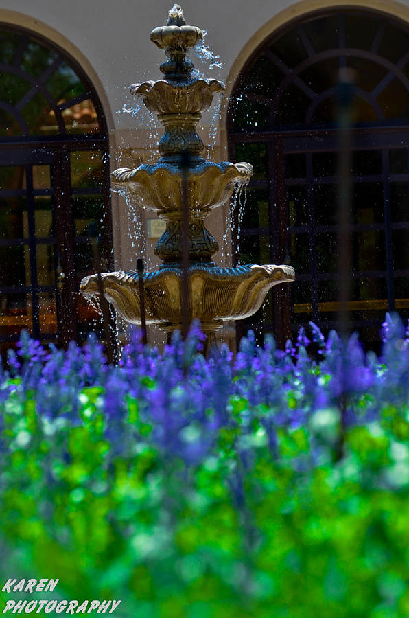 Fountain Photograph - Blue flowers and a Fountain by Karen Kersey