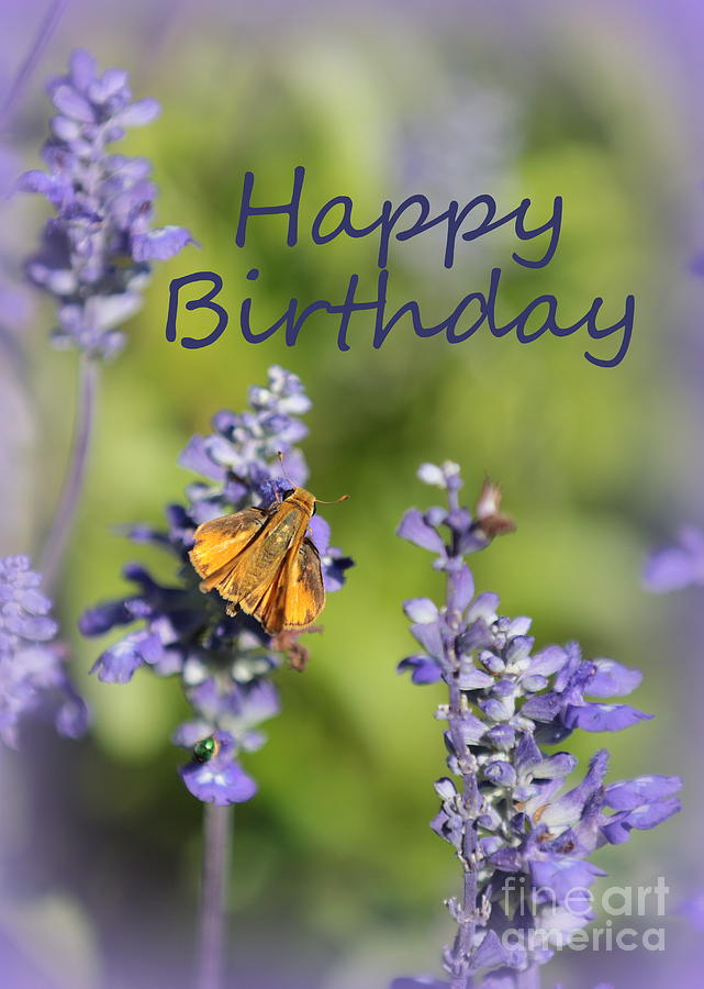 Blue Flowers Birthday Card Photograph by Carol Groenen