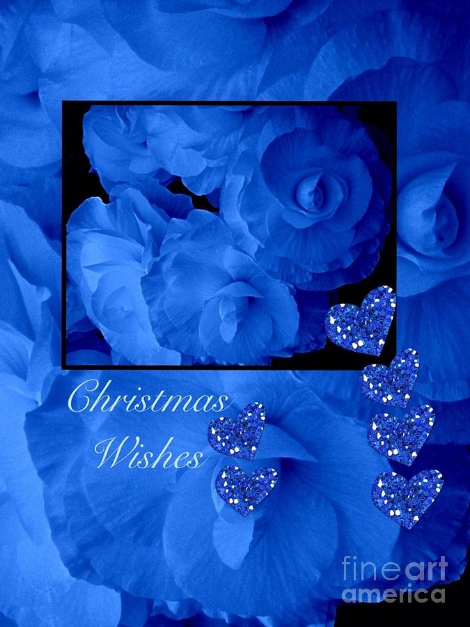 Blue Flowers Christmas Wishes Photograph by Joan-Violet Stretch