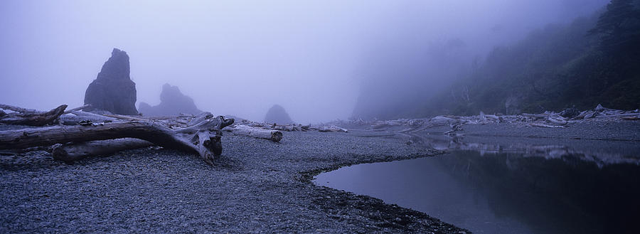 Blue Fog Beach Photograph by Elena Bouvier - Fine Art America