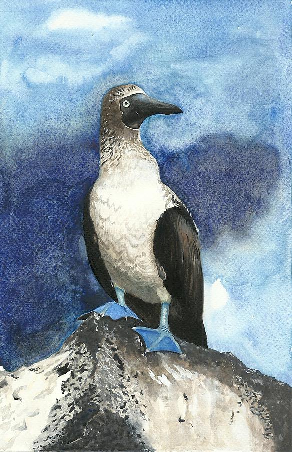 Nature Painting - Blue Footed Booby bird on a rock by Shweta  Mahajan
