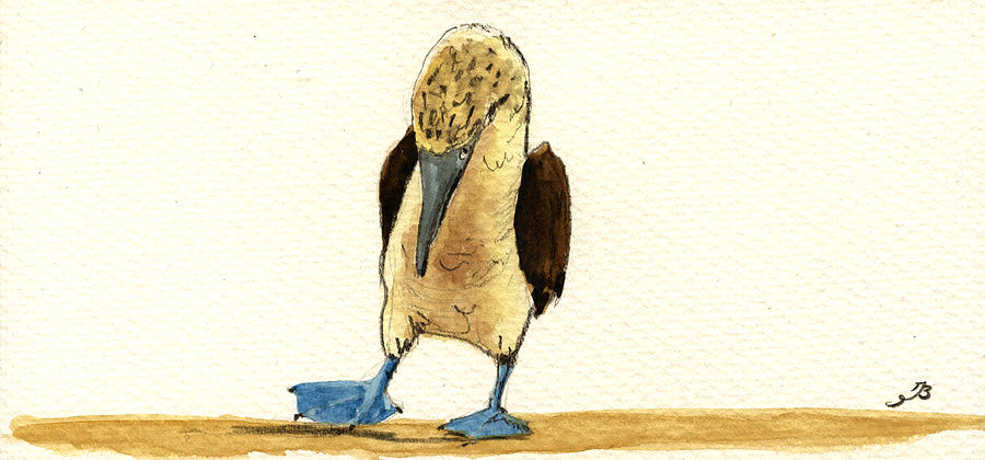 Wildlife Painting - Blue footed booby by Juan  Bosco
