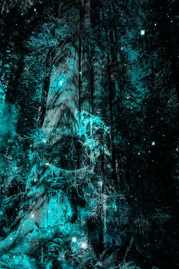 Blue Forest Magic Photograph by Michele Cornelius