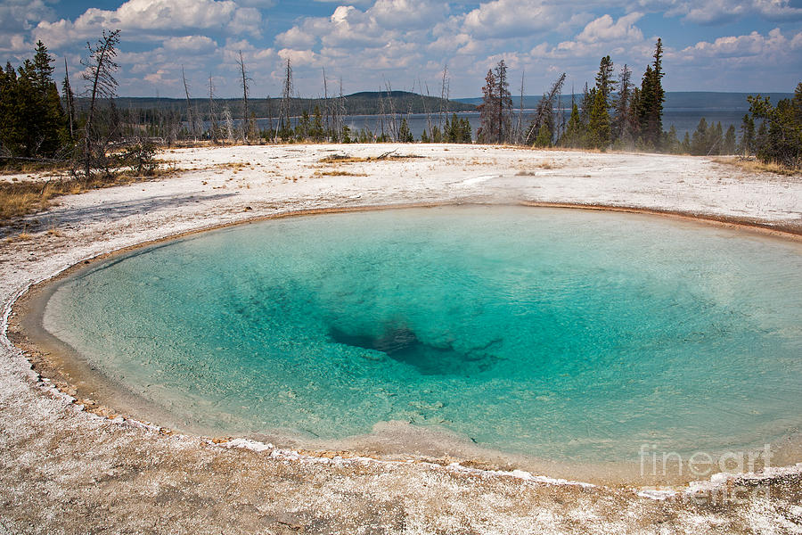 Blue Funnel Spring in West Thumb Geyser Basin Photograph by Fred Stearns