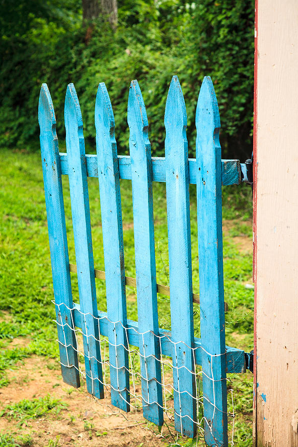 Blue Gate Photograph by Toni Hopper
