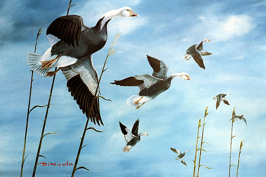 Blue Geese Painting by Anthony DiNicola