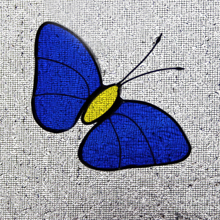 Butterfly Photograph - Blue Glass Butterfly Square by Karen Adams