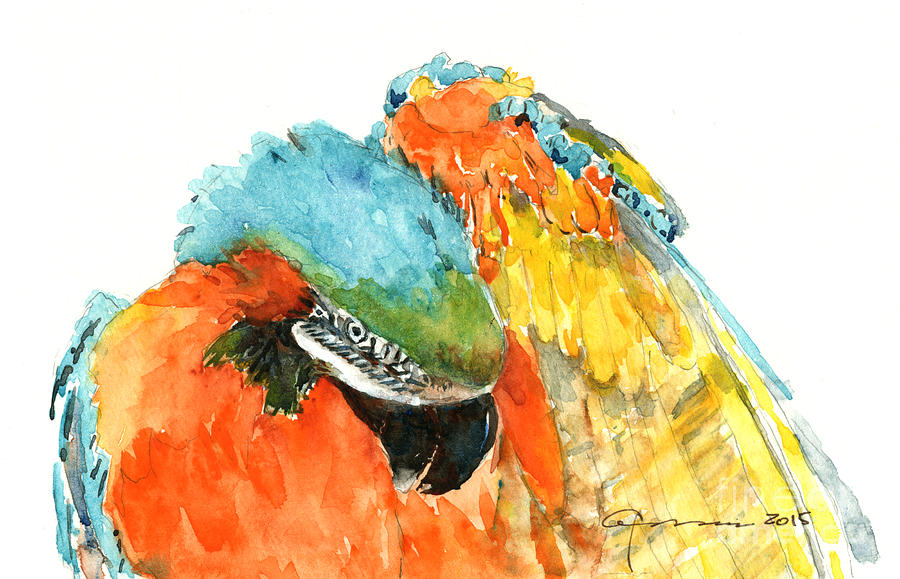 Blue Gold Macaw Parrot Painting by Claudia Hafner