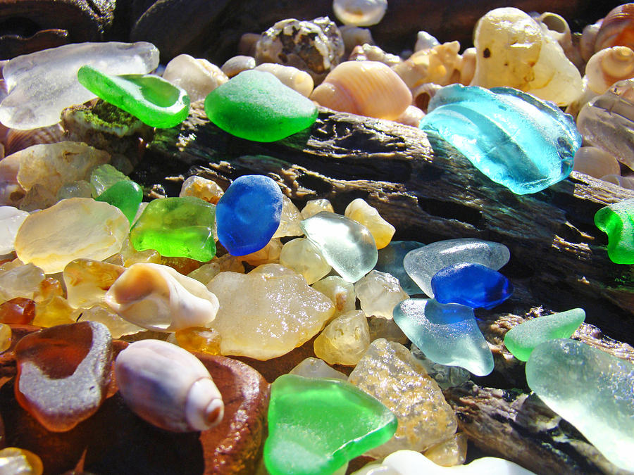 Blue Green Seaglass Art Prinst Agates Shells Photograph