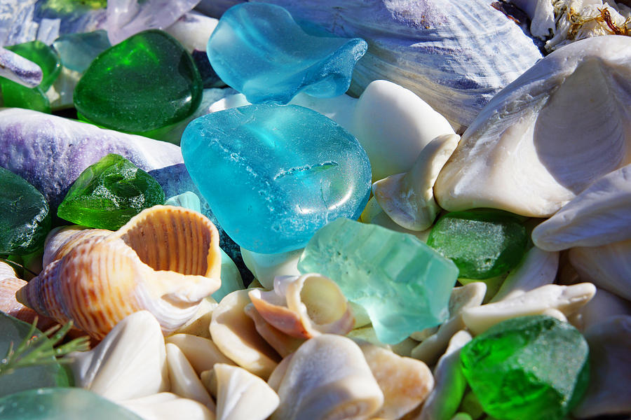 Blue Green SEAGLASS Shells Coastal Beach Photograph by Patti Baslee