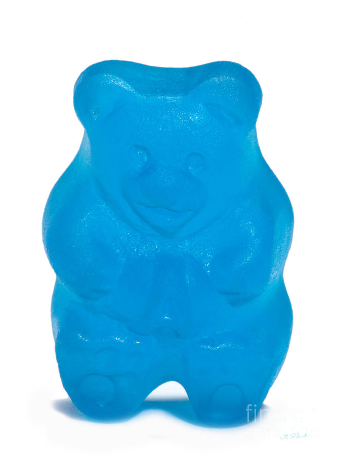 Candy Photograph - Blue Gummy Bear by Iris Richardson