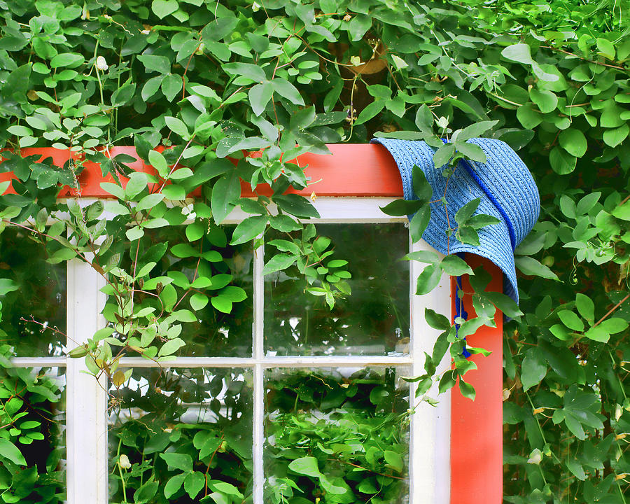 Blue Hat Red Window Photograph by Nikolyn McDonald