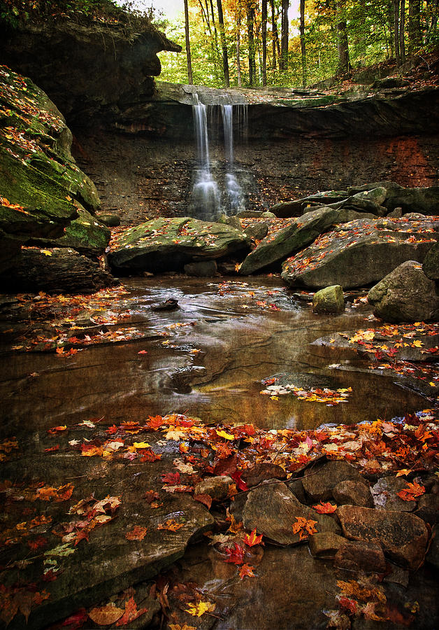 Blue Hen Falls In Autumn Photograph by Dale Kincaid