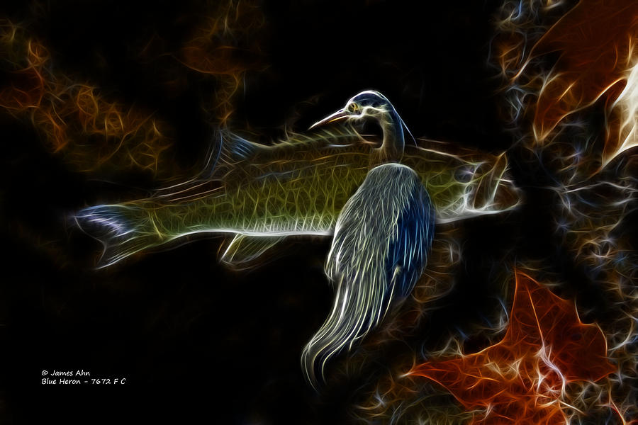 Blue Heron Bass - 7672 - F C Digital Art by James Ahn