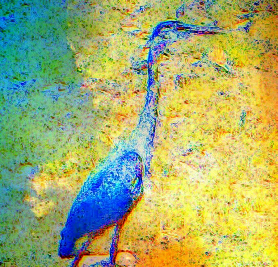 Abstract Photograph - Blue Heron by Candee Lucas