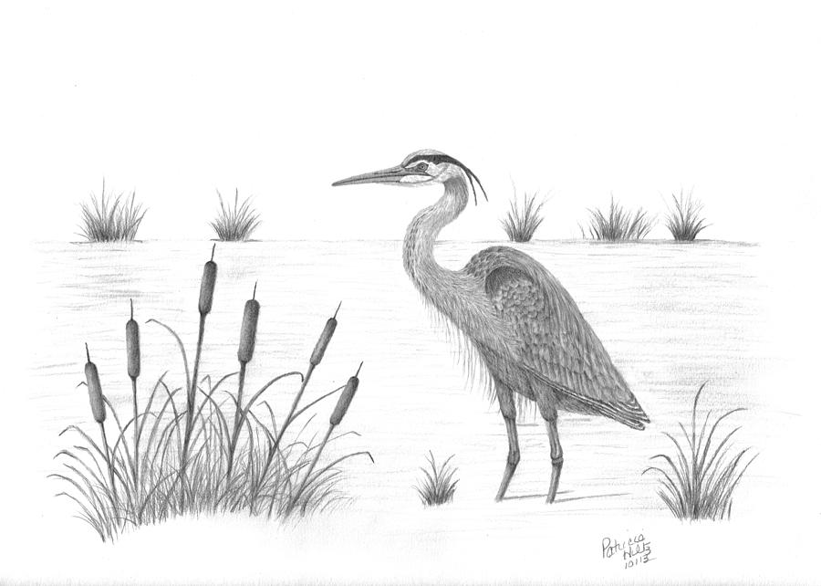 Blue Heron Drawing by Patricia Hiltz