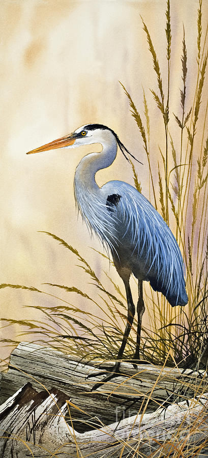 Heron Painting - Blue Herons Bright Shore by James Williamson