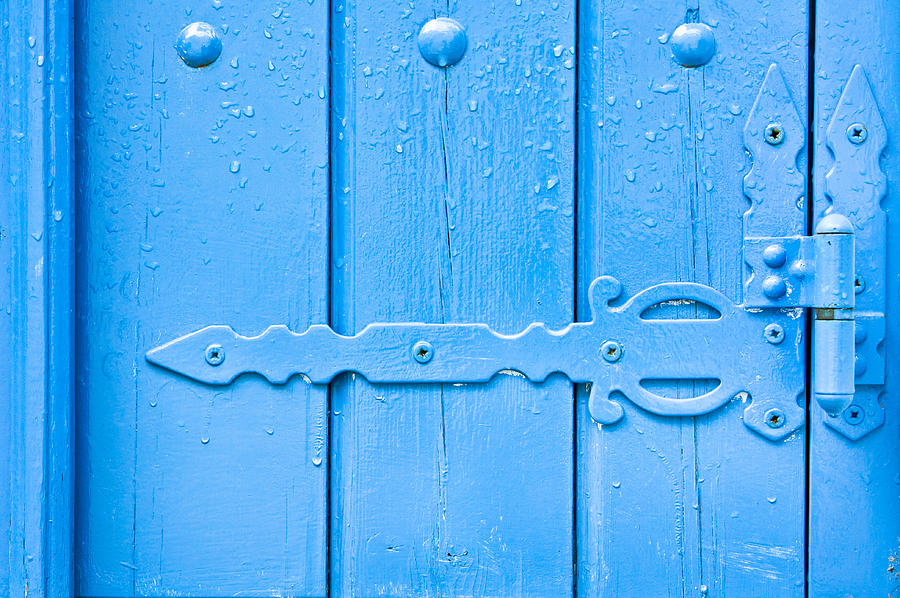 Nature Photograph - Blue hinge by Tom Gowanlock