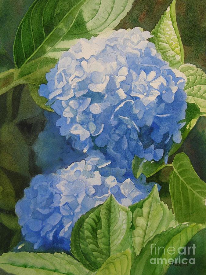 Blue Hydrangea Blossoms Painting by Sharon Freeman