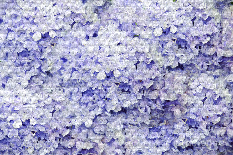 Blue Hydrangea Painterly Photograph by Andee Design