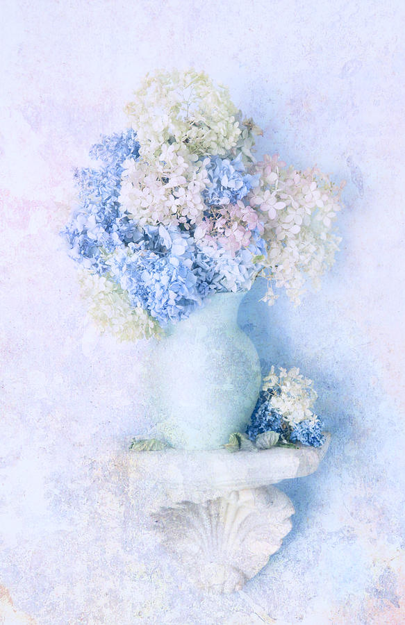 Blue Hydrangea Photograph by Theresa Tahara