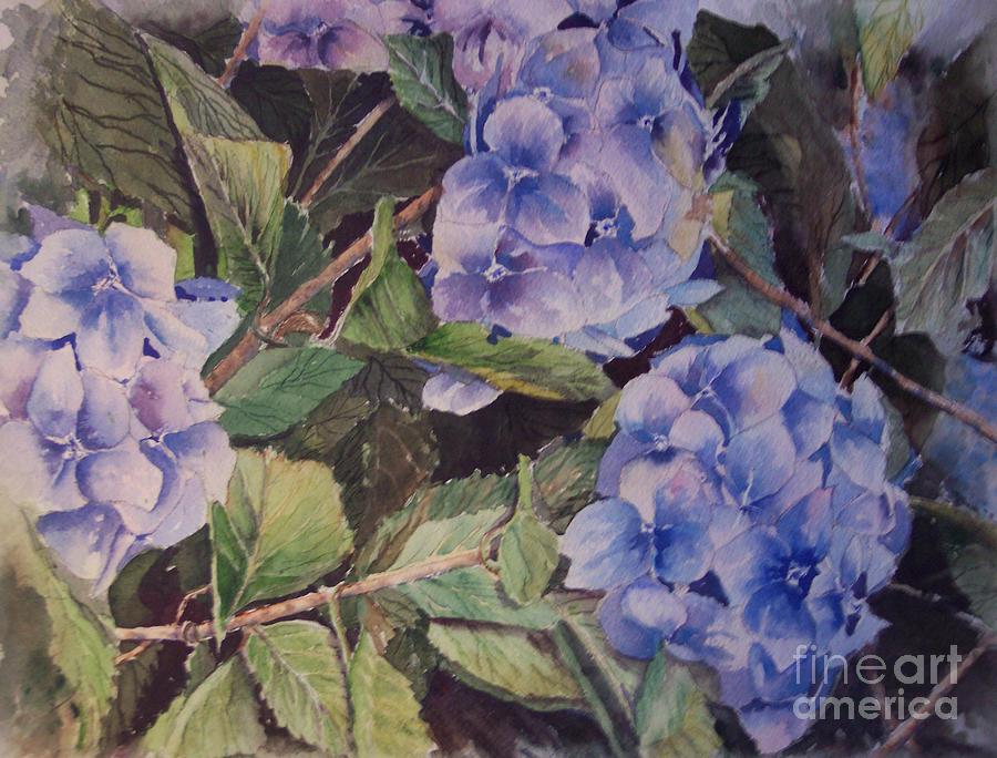 Blue Hydrangeas Painting by Bev Morgan