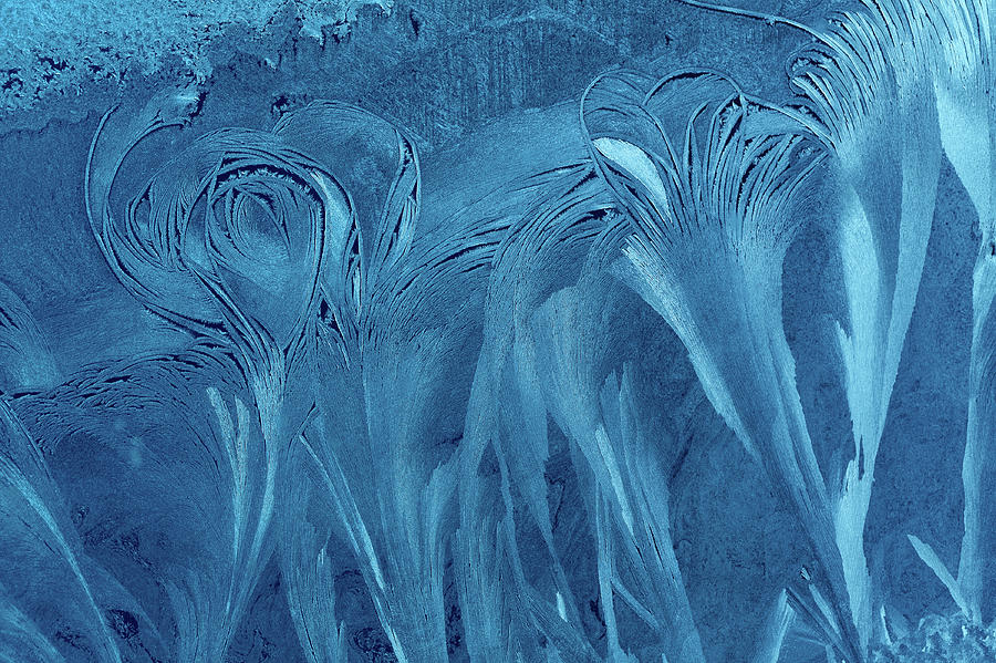Blue Ice Flower Background Photograph by Mammuth