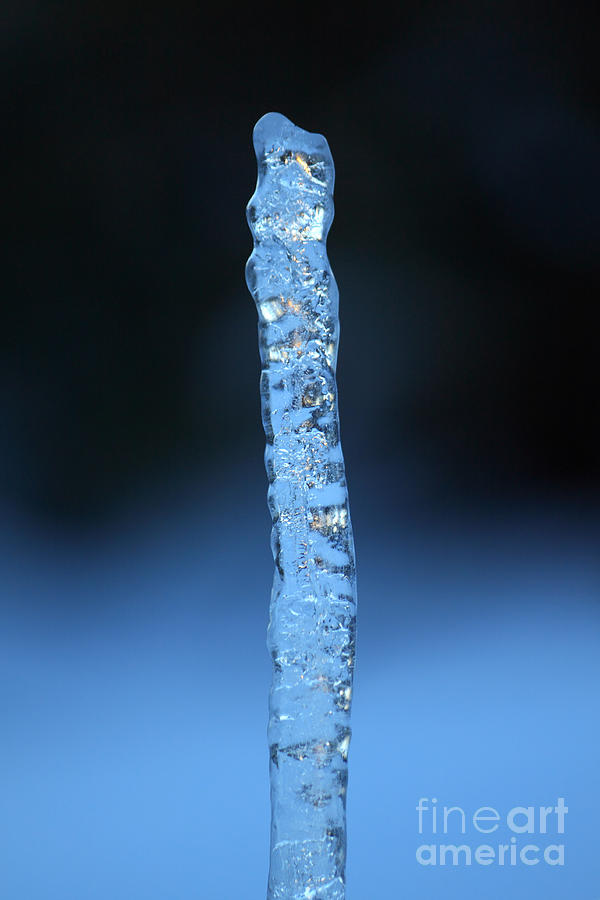 Blue Icicle Photograph by James Eddy