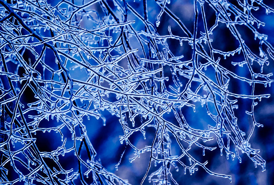Blue Imbue Photograph by Brian Stevens
