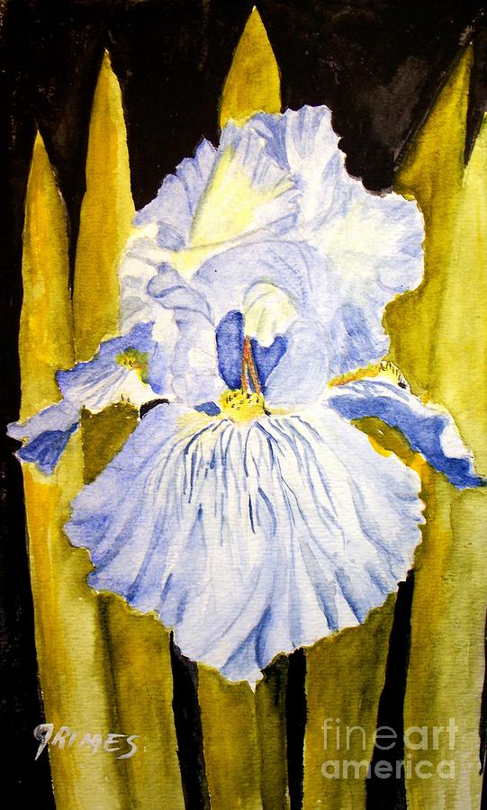 Blue Iris Painting by Carol Grimes
