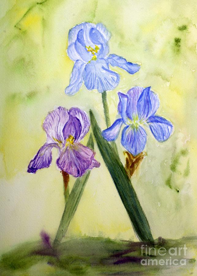 Blue Iris Painting by Donna Walsh
