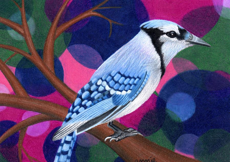 Blue Jay Drawing by Annie Nelson - Fine Art America