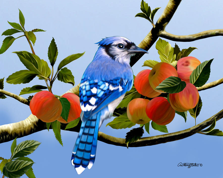 Blue Jay Mixed Media by Anthony Seeker