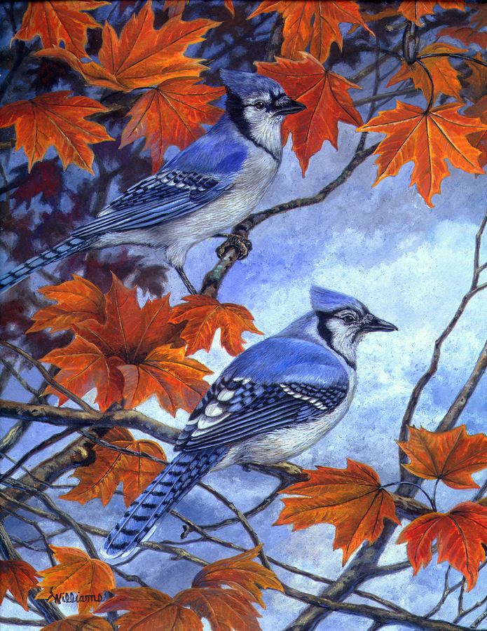 Blue Jay bird in autumn Art Print