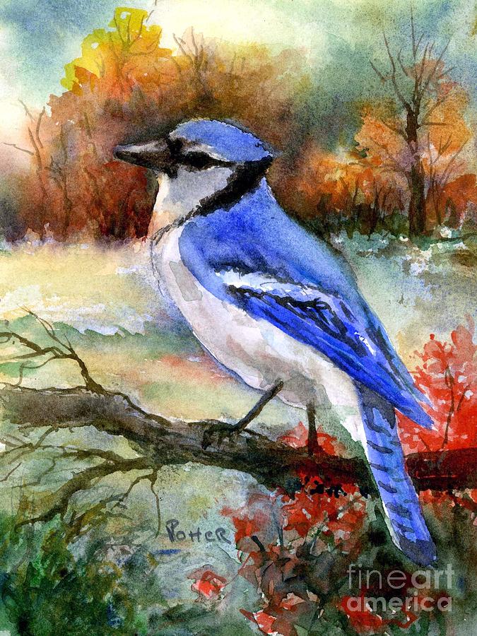Blue Jay in Autumn Painting by Virginia Potter