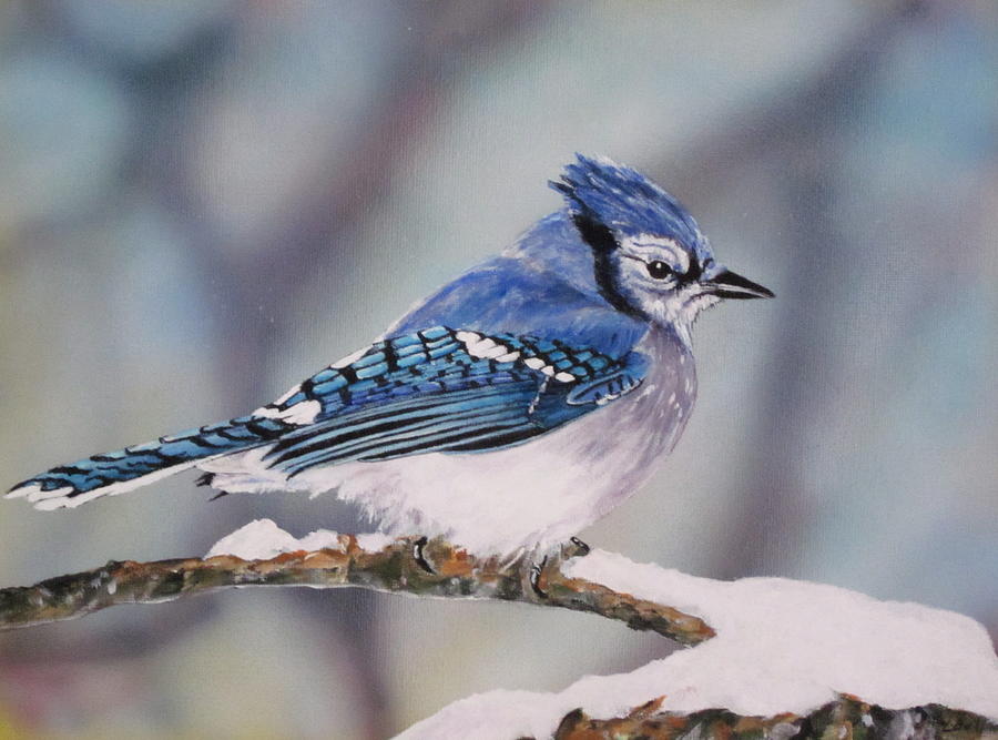 Wildlife Painting - Blue Jay by Lillian  Bell