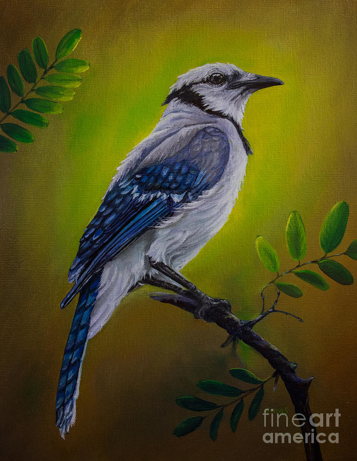 Blue Jay painting Painting by Zina Stromberg