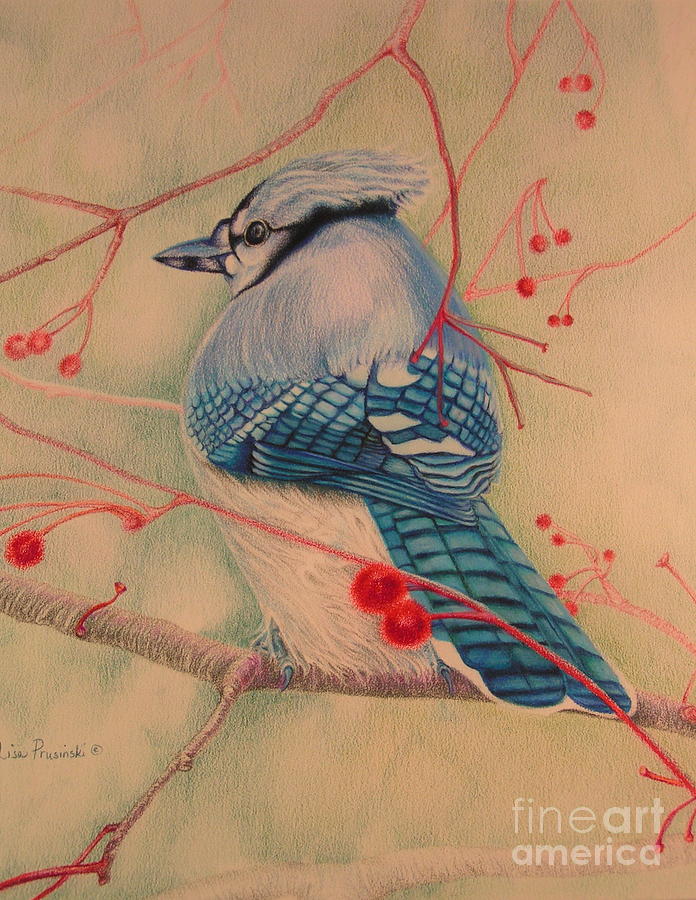 Blue Jay With Red Painting