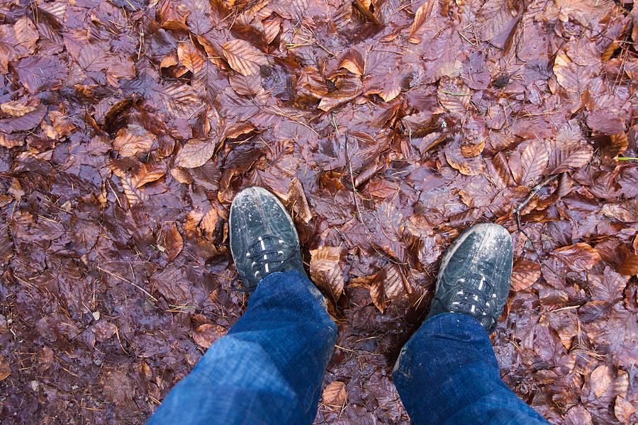 Blue Jeans and dirty shoes and forest floor Photograph by Matthias Hauser