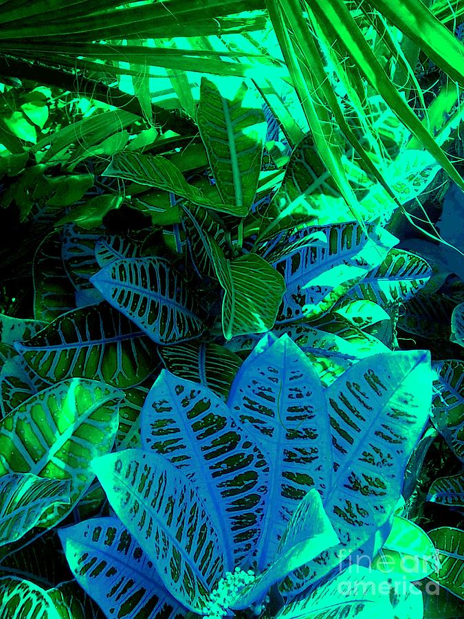 Blue Jungle Digital Art by Christine Fournier