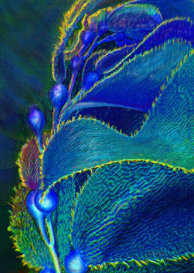 Beach Digital Art - Blue Kelp by Jane Schnetlage