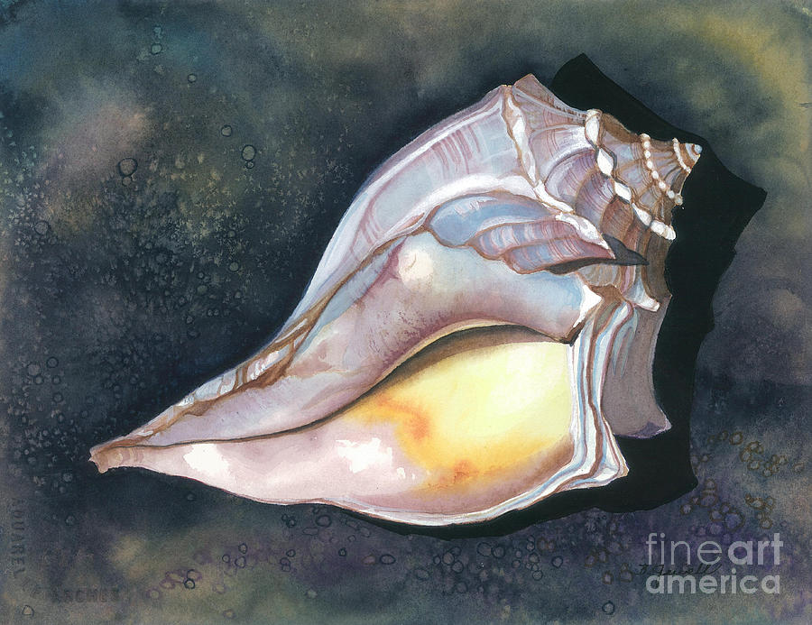 Blue-knobbed Whelk Painting by Barbara Jewell