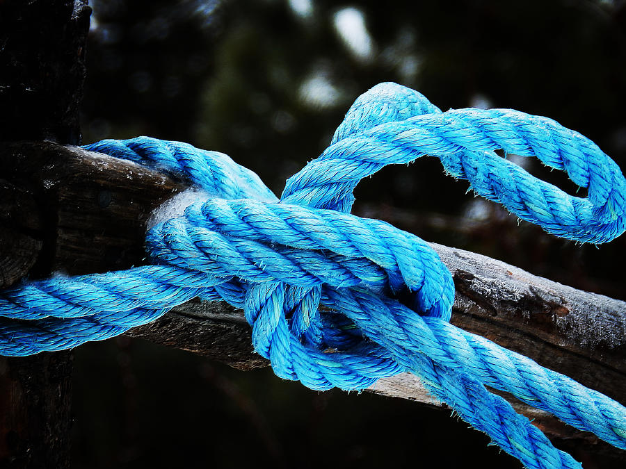 Blue Knot Photograph by Zinvolle Art
