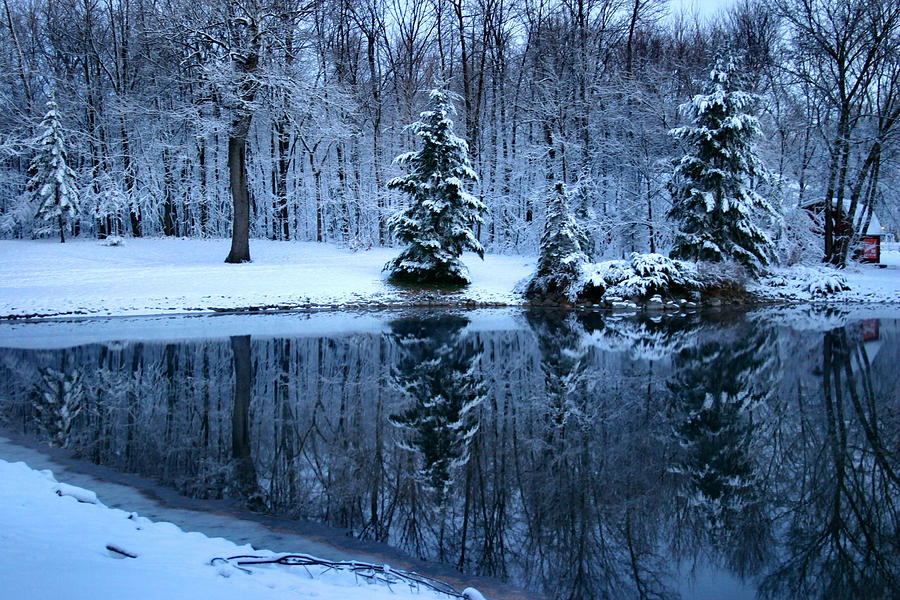 Winter Photograph - Blue by Kristin Elmquist