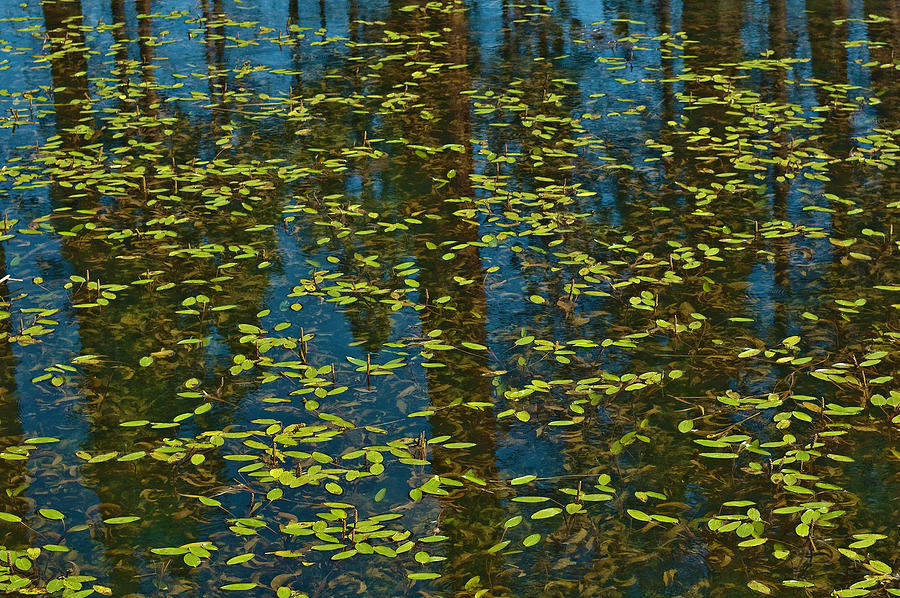 Blue Lake Reflections Photograph by Sherri Meyer