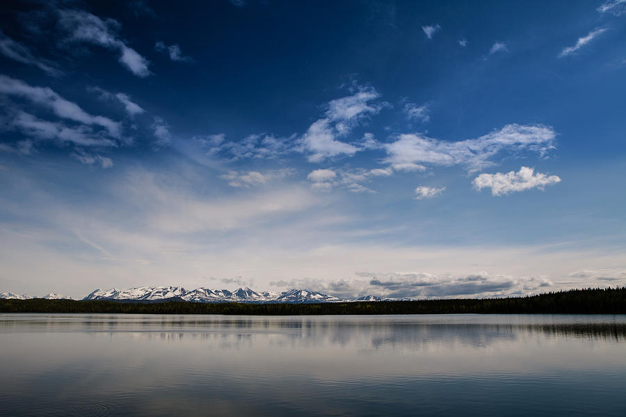 Blue Lake Views Photograph by Michele Cornelius