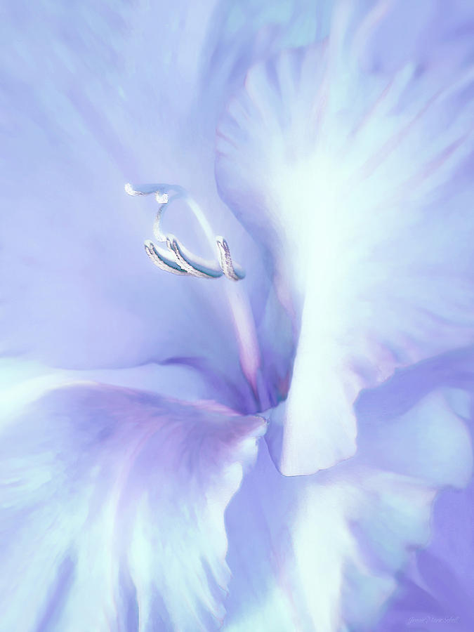 Blue Lavender Gladiola Flower Photograph by Jennie Marie Schell