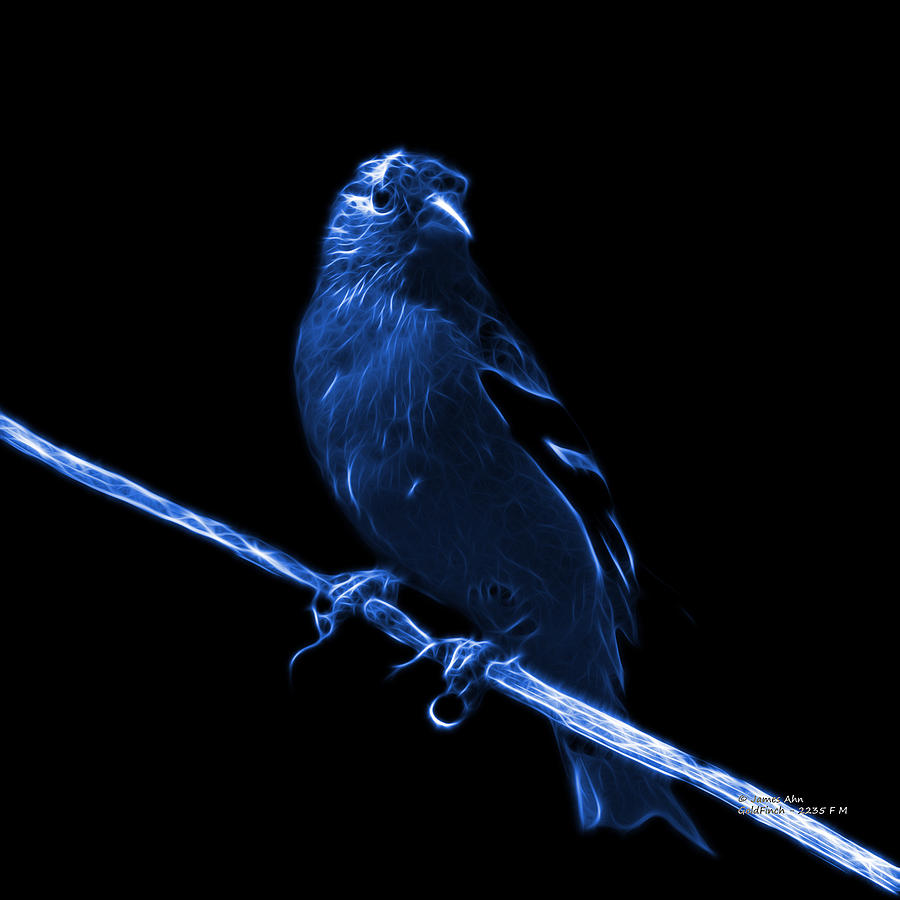 Blue Lesser Goldfinch - 2235 F Digital Art by James Ahn