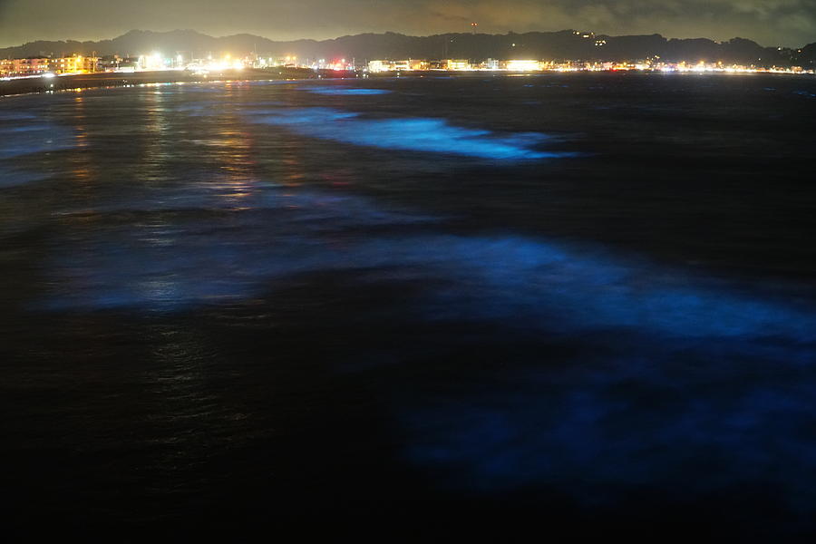 Blue light bioluminescence from Noctiluca scintillans on the night beach in Kamakura, Japan Photograph by Taro Hama @ e-kamakura