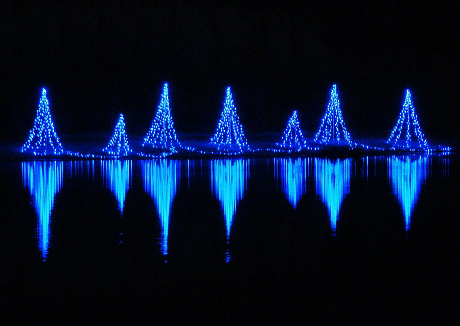 Blue Light Reflections Photograph by Rodney Lee Williams